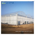 Customized Agricultural Vegetable Greenhouses